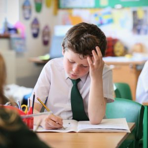 Bespoke Curriculum