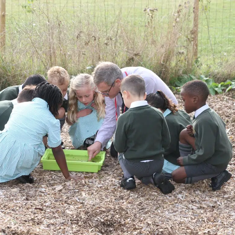 Luceat lesson - Environmental Programme