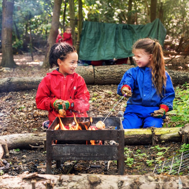 Forest School lesson