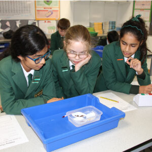 Luceat Science Year 6