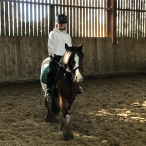 Horse Riding