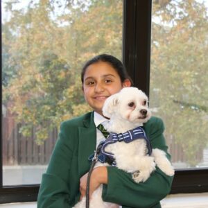 Pet Protectors - Lorrena