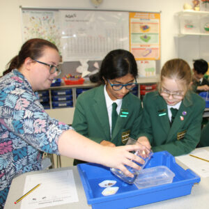 Prep School Science lesson