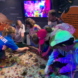 Year 5 York residential trip