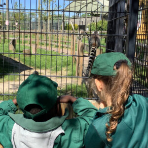 Wingham Wildlife trip