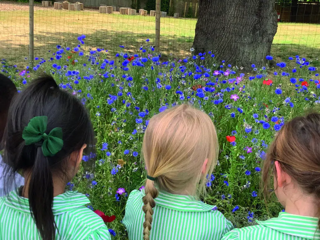 Early Years pupils in the wild garden