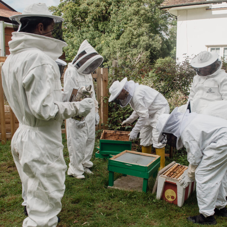 Senior School pupils bee keeping
