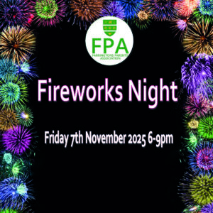 Fireworks night poster