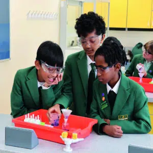 Prep School Science lesson