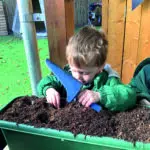 Early Years pupil gardening