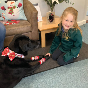 Wellbeing Dog With Prep School Pupil