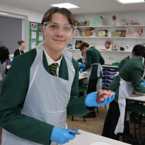 Senior pupil in a Science lesson