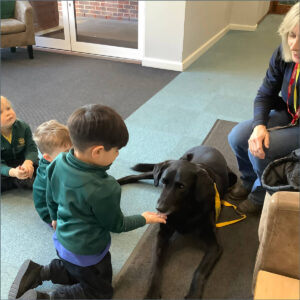 Atlas the wellbeing dog with pupils