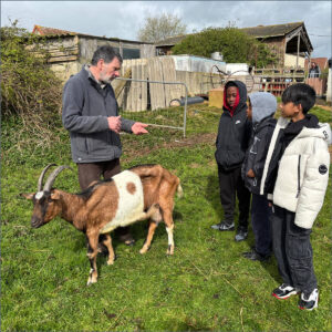 Year 6 French residential trip
