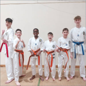 Taekwondo