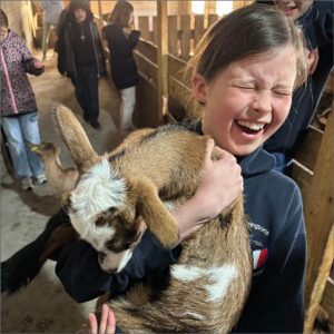 Year 6 French residential trip