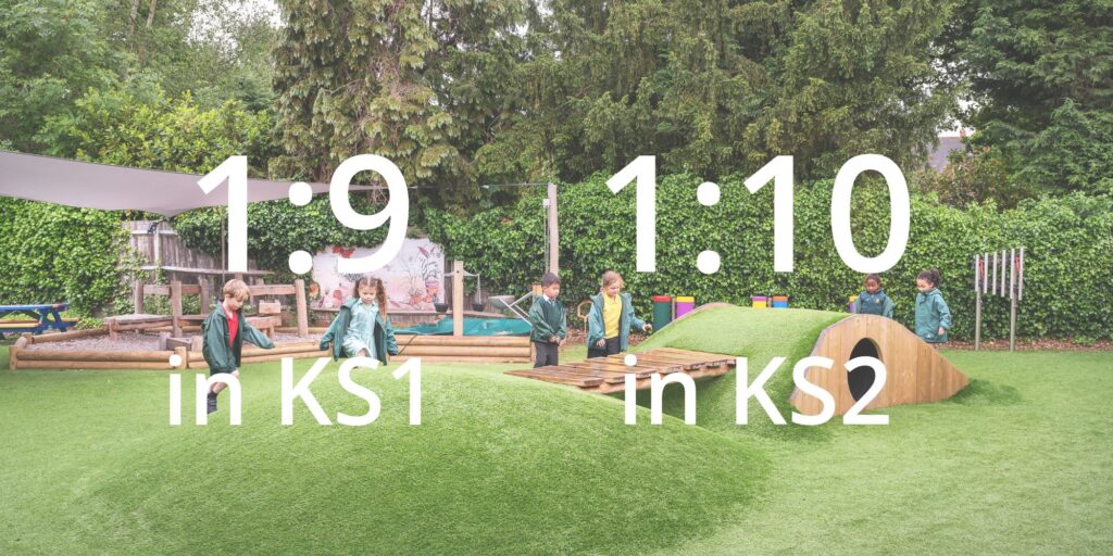 Ratio GIF For The Website No EYFS