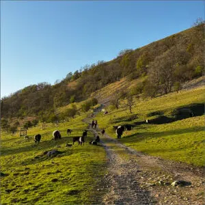 DofE gold practice
