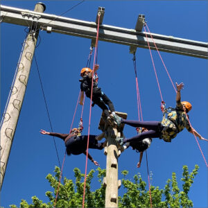 Year 4 Windmill Hill residential