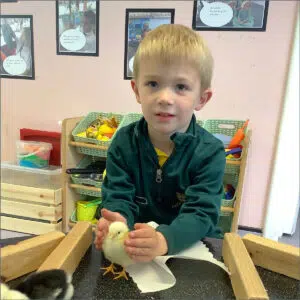 Prep School Pupil Holding A Baby Chick